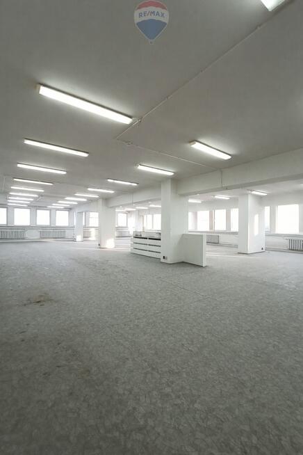 Lokal biurowy - Wynajem - Bielsko-Biała Polska