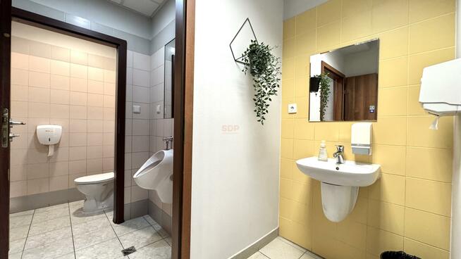 Lokal użytkowy Wrocław Stare Miasto, Stare Miasto, Tęczowa