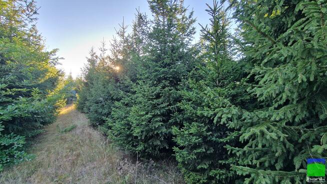 Lokal użytkowy Łódź Widzew, Mileszki