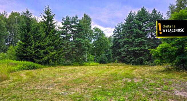 Działka rolna Żuków gm. Solec-Zdrój,