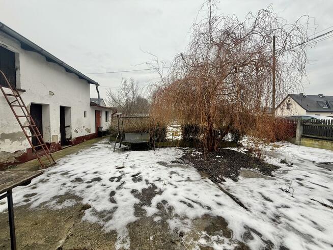 Dom Opole, Dożynkowa