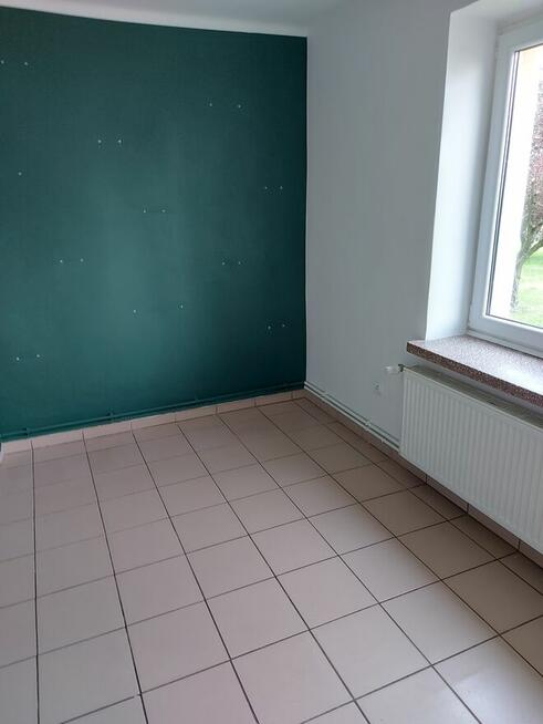 Lokal 70m2 do wynajęcia.