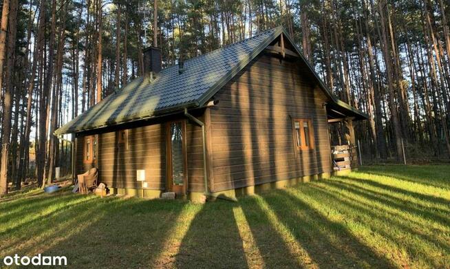 Nowy/Całoroczny domek/Las/Rzeka