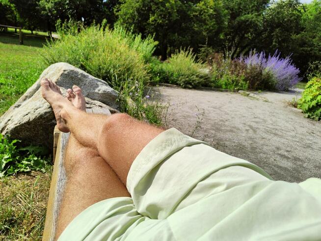 Szukam pokoju do wynajęcia