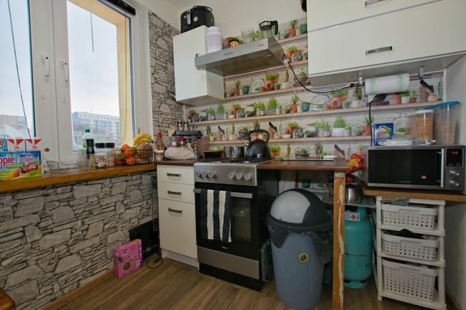 Przytulne 2-pokojowe 42m2, centrum miasta, Noniewicza.