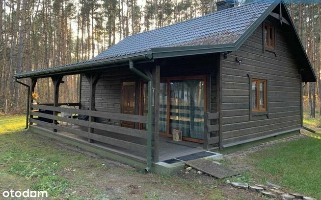 Nowy/Całoroczny domek/Las/Rzeka