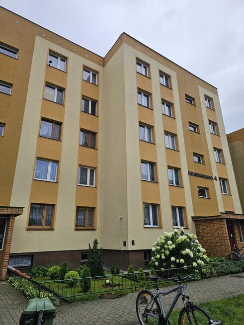 Mycie elewacji, dachów, kostki