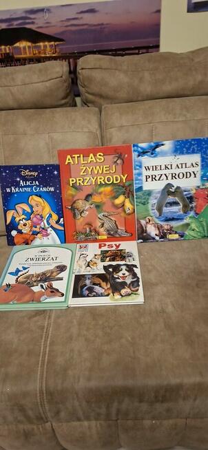 Książki dla dzieci przyrodnicze i bajkowe