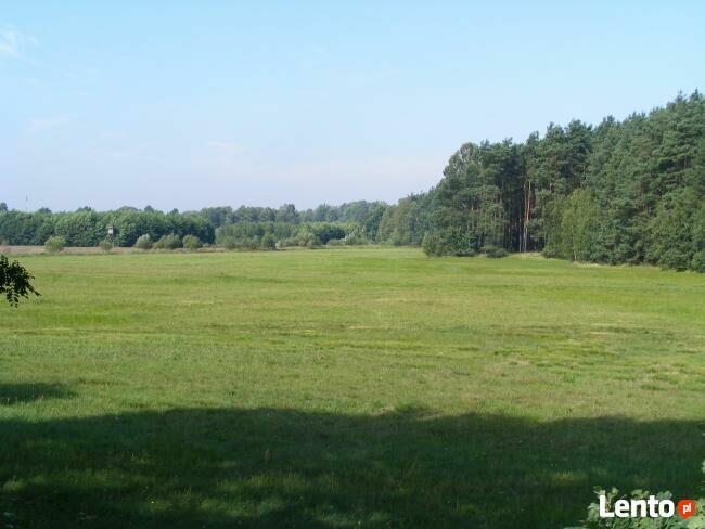 Działka rolna