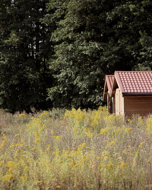 Marszewo | 3029 m² | działka budowlana z lasem i sadem