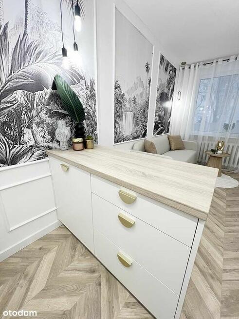 SASKA KĘPA, LUX 3 POKOJE, BEZPOŚREDNIO!