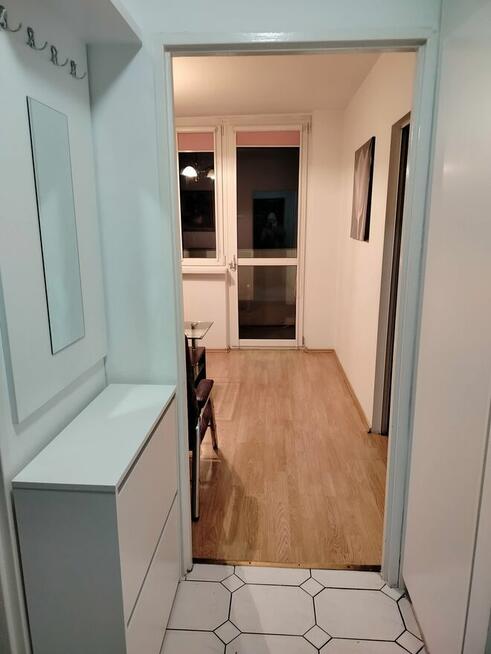 Wynajmę mieszkanie od zaraz