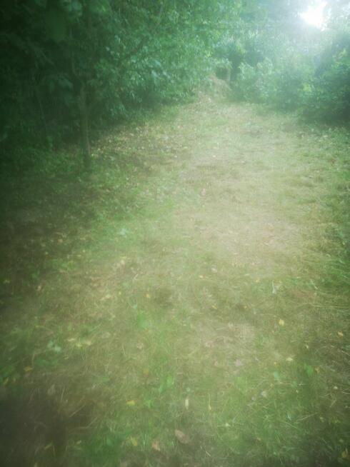 DZIAŁKA ROD do oddania