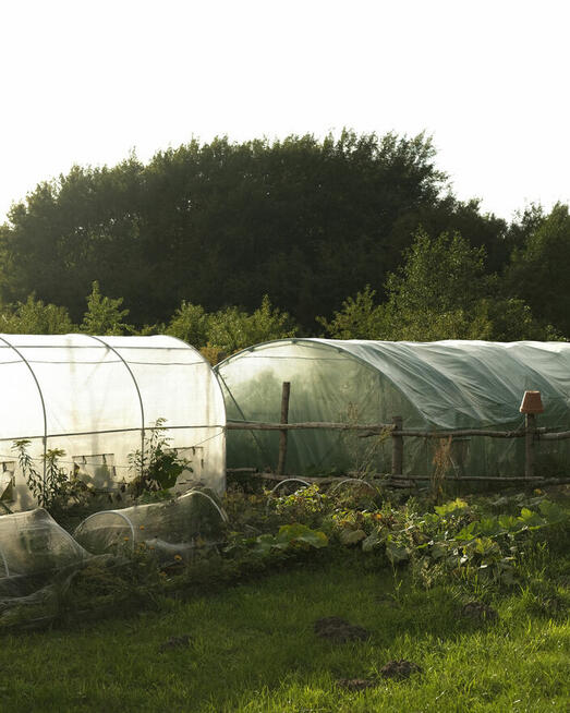 Marszewo | 3029 m² | działka budowlana z lasem i sadem