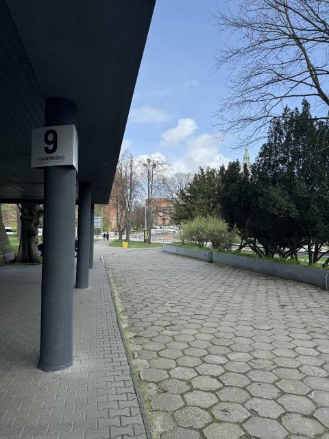 Lokal użytkowy Szczecin Centrum, pl. Grodnicki