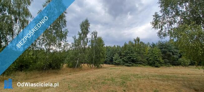 Warszawa/Raszyn/Tarczyn/ Posiadłość 2,1 ha z budynkami.