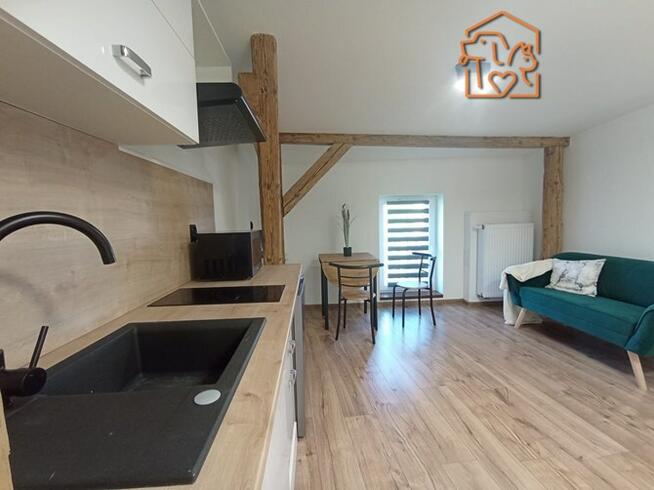 2 pokoje przyjazne dla zwierząt, Roosevelta 3