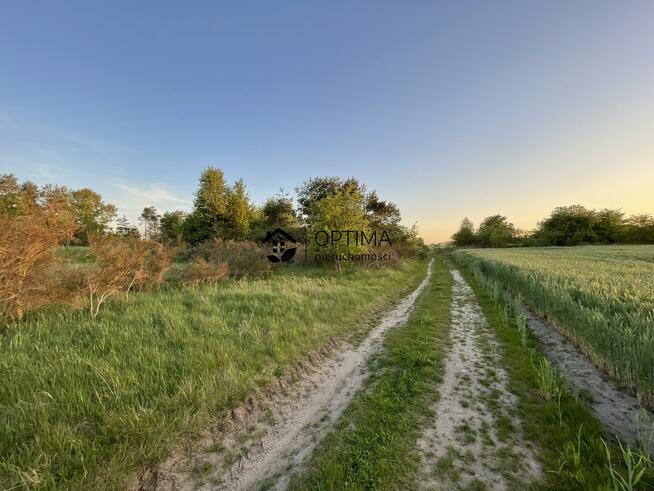 Działka rolna Dąbrowa gm. Sianów