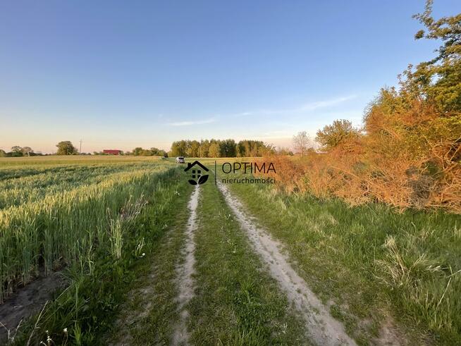 Działka rolna Dąbrowa gm. Sianów