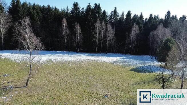 Działka inwestycyjna Odrzykoń gm. Wojaszówka, Leśna