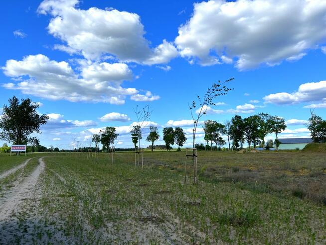 Działka inwestycyjna Mława,