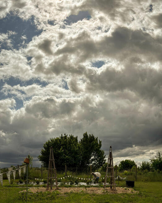 Marszewo | 3029 m² | działka budowlana z lasem i sadem