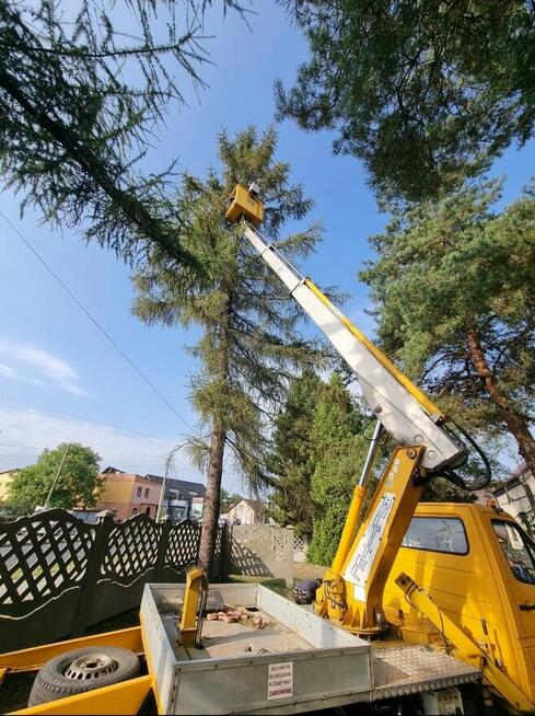 Wycinka drzew, usługi rębakiem własny podnośnik koszowy