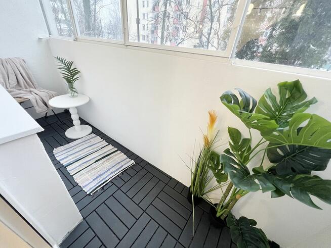 SASKA KĘPA, LUX 3 POKOJE, BEZPOŚREDNIO!