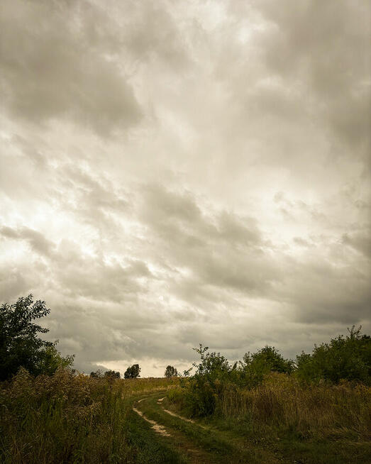 Marszewo | 3029 m² | działka budowlana z lasem i sadem