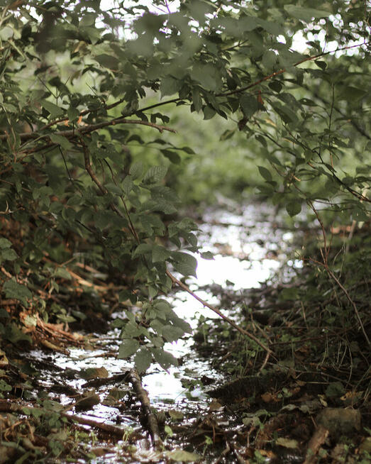 Marszewo | 3029 m² | działka budowlana z lasem i sadem