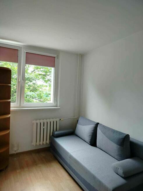 Wynajmę mieszkanie od zaraz