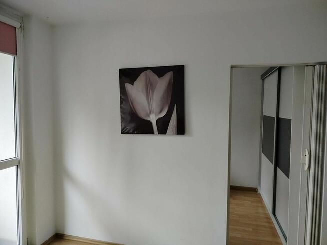 Wynajmę mieszkanie od zaraz