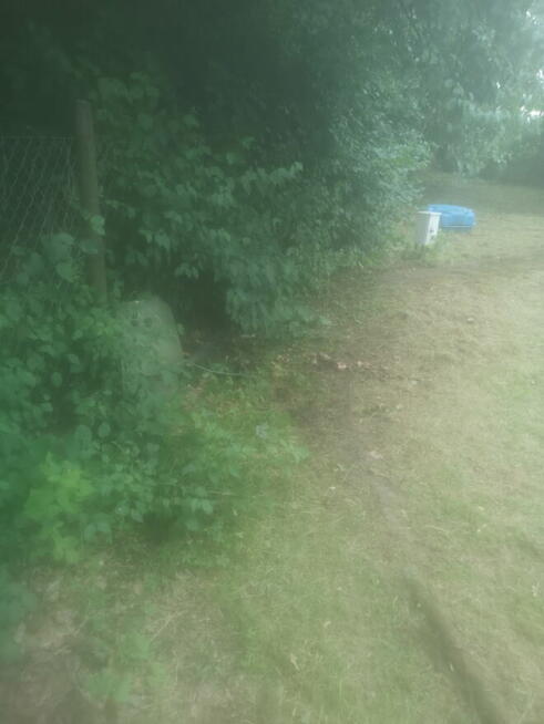 DZIAŁKA ROD do oddania