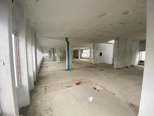 Budynek Handlowo-Usługowy w centrum miasta