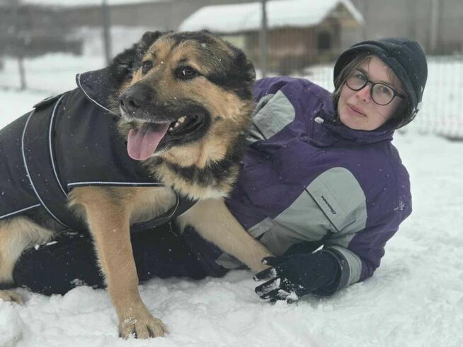 Owczarek mix Wacek szuka domu schronisko Zgierz -aktualne