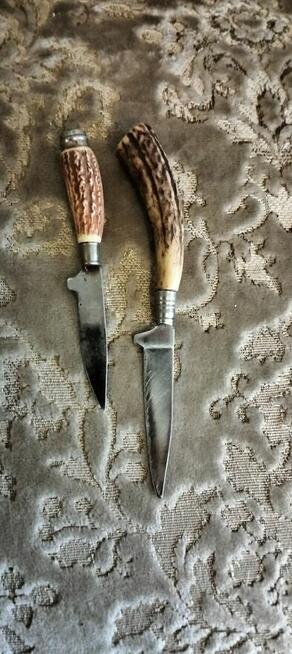 3 kolekcjonerskie noż mysliwskie