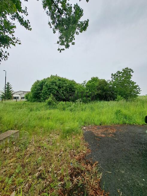 Działka w Kostomłotach niedaleko Środy Śląskiej