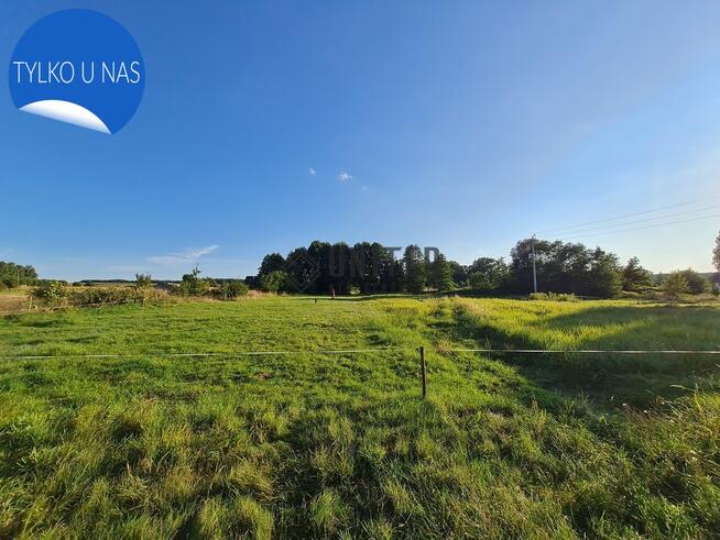 Dom z dużą działką w okolicy Twardogóry