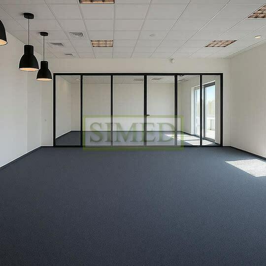 Pow. usługowa 120 m 2 z tarasami ,dostęp24h