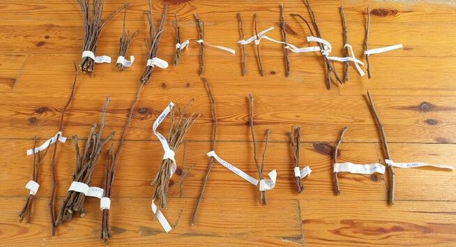 Usługi ogrodnicze - permakultura w Twoim ogrodzie