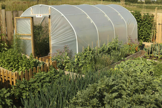 Usługi ogrodnicze - permakultura w Twoim ogrodzie