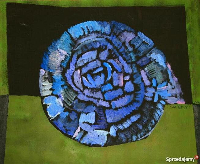 Abstrakcja-Wojciech Sarnecki