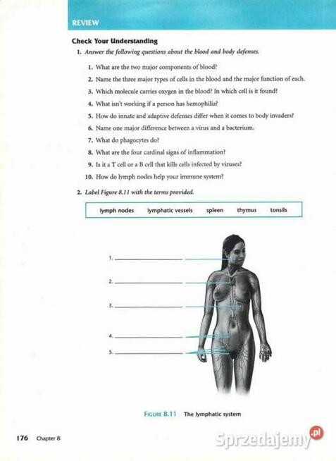 Anatomia / Fizjologia - Podręcznik (j.angielski)