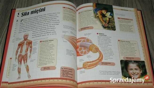 Ciało Człowieka-Zestaw-2 Książki