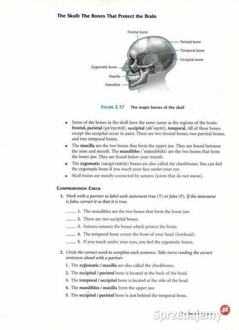 Anatomia / Fizjologia - Podręcznik (j.angielski)