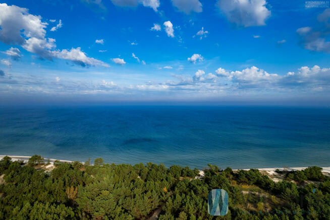 Mieszkanie Hel, Leśna