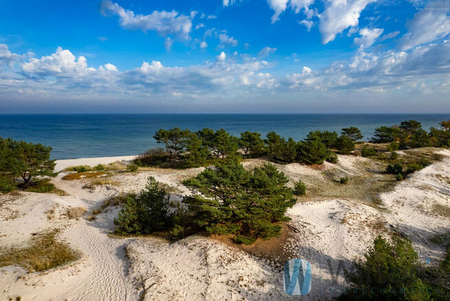 Mieszkanie Hel, Leśna