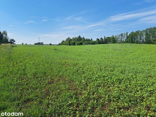 Działka ok 4ha WZ dostęp do jeziora 500m! zatoka j.Drawsko