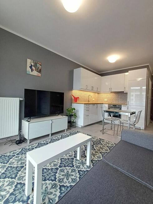 Parkitka, Okulickiego 56, mieszkanie do wynajęcia