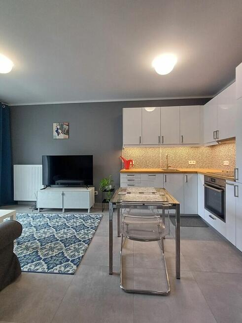 Parkitka, Okulickiego 56, mieszkanie do wynajęcia